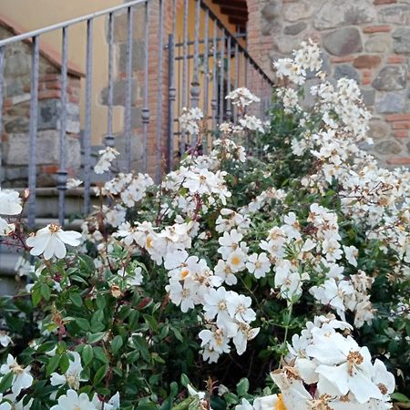 Appartamento Olivella Reggello Luaran gambar
